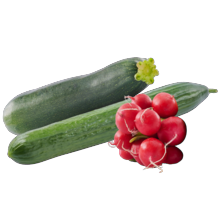 Komkommer,
courgette
of radijs
zonder loof